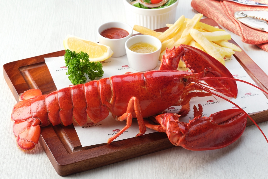 ไม่เช็คอิน..ไม่ได้แล้ว! “Red Lobster” ร้านซีฟู้ดชื่อดังสัญชาติอเมริกัน เปิดสาขาแรก ฮอตมาก ที่ศูนย์ประชุมแห่งชาติสิริกิติ์โฉมใหม่