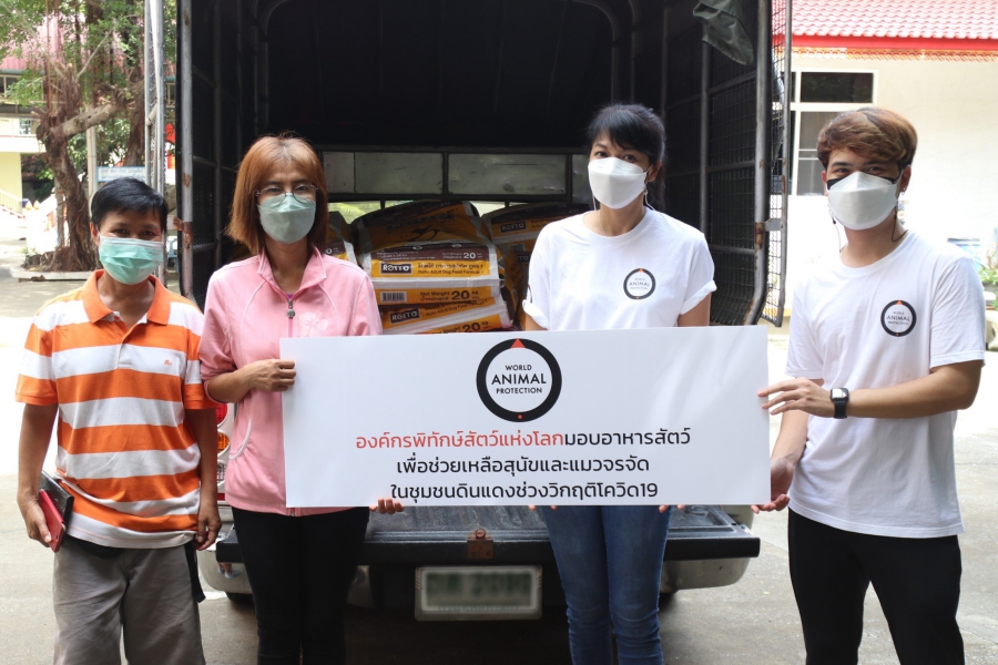 องค์กรพิทักษ์สัตว์แห่งโลก สานต่อโครงการ Life’s Better with Dogs บริจาควัคซีนและอาหารสุนัข