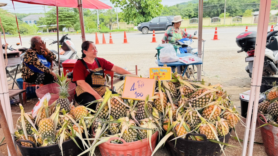 “พิชัย” ลุยเมืองเลย เปิดงานชวนชิม “สับปะรดไร่ม่วง” รสชาติหอม หวาน ฉ่ำ เตรียมดันขึ้นแท่นสินค้า GI สร้างรายได้เกษตรกร หนุนตลาดใน-ต่างประเทศครบวงจร
